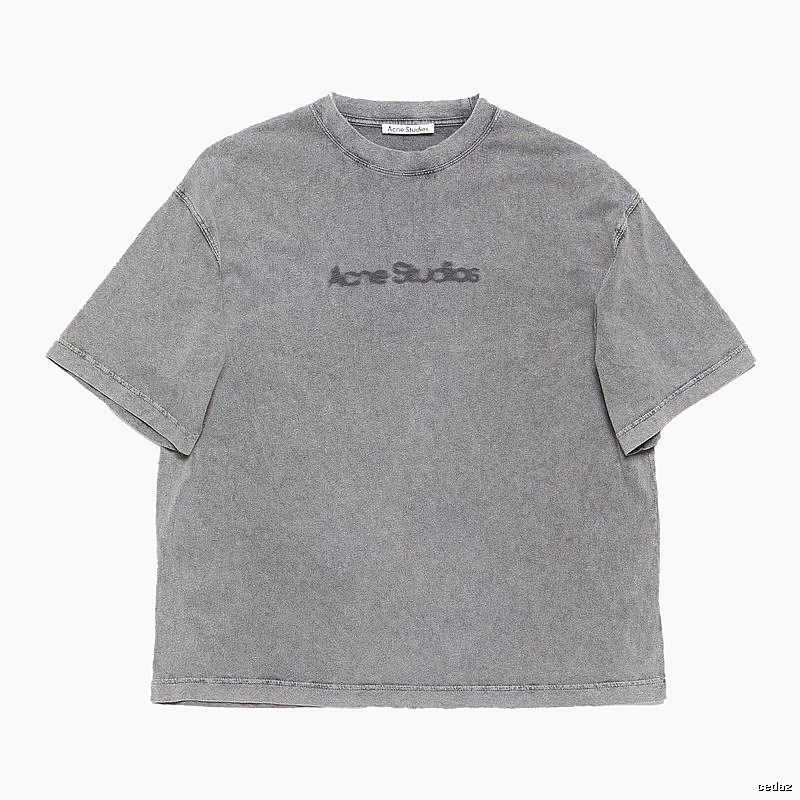 Acne Studios 2090-80 Gray Style Ac908028 Stockholm Logo T-Shirt Fan Wear