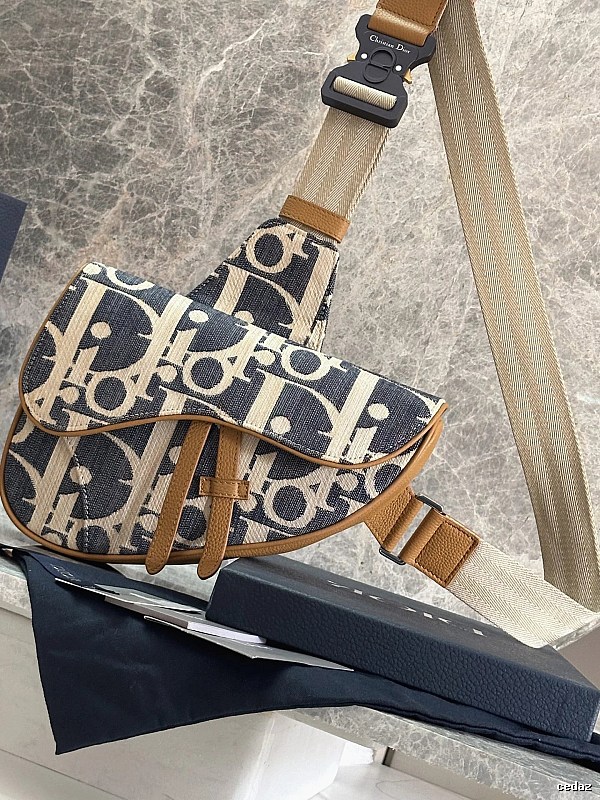 Dior Saddle bag Beige Oblique