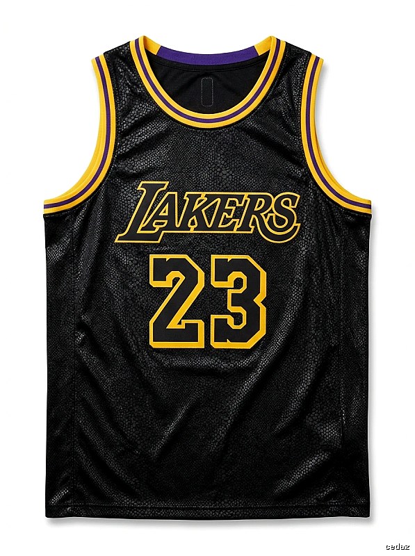 LBJ Lakers retro-style jersey