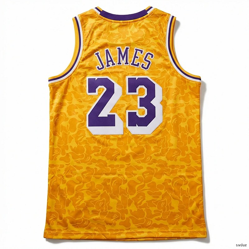 LBJ No. 23 camouflage-style jersey