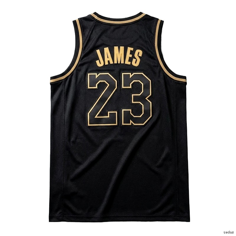 LBJ No.23 black basketball jersey