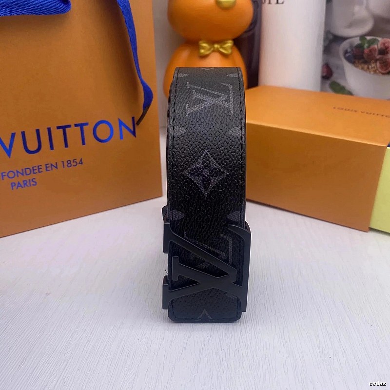 Louis Vuitton Gift-Ready Presentation Monogram Belt Streetwear Look