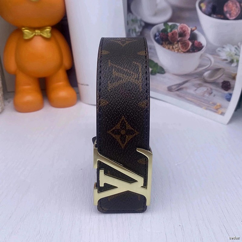 Louis Vuitton Simple Color Balance Monogram Belt Downtown Style