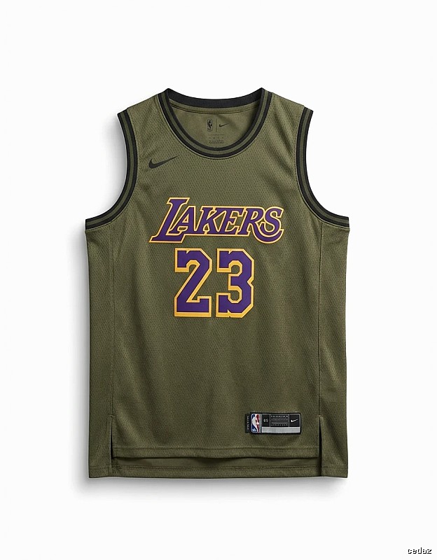 Nike LBJ Lakers Retro Vest