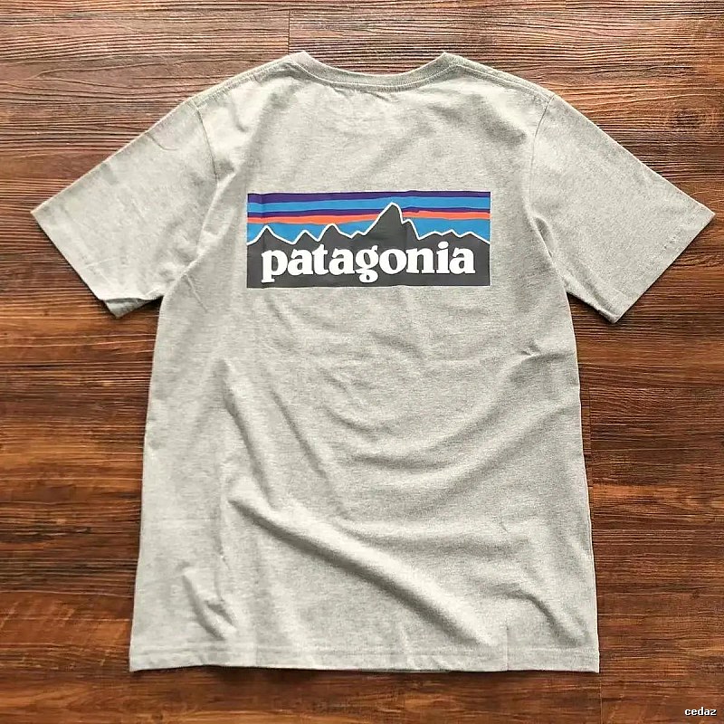 Patagonia Light Gray Logo T-Shirt Streetwear Look Graphic