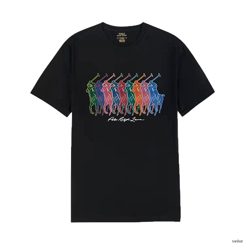 Ralph Lauren colorful polo-style T-shirt