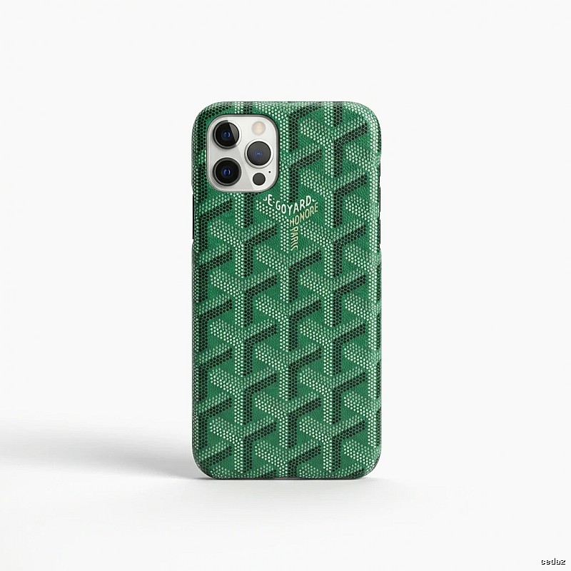 R.SYARD Trendy Brand Green Pattern iPhone Case