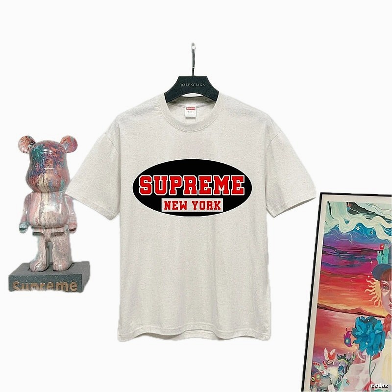 Supreme New York Printed Street Style Light Gray T-Shirt