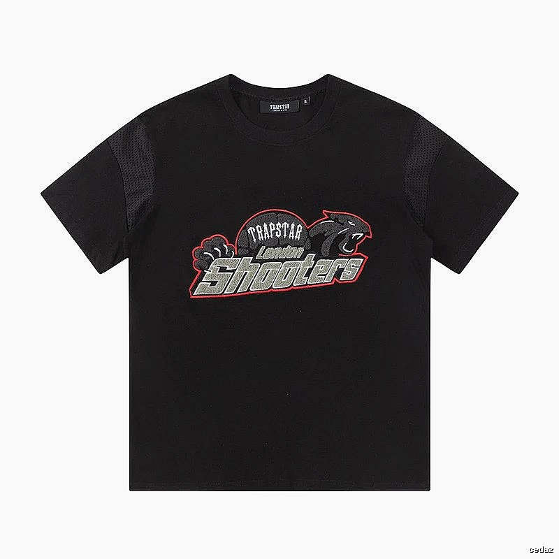 Toronto Raptors Classic Team graphic T-shirt Black Toronto Raptors for Daily Styling
